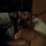 Profile Picture of Deborah Jarrell (@jarrell8204) on Instagram