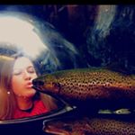 Profile Picture of Colby Houdlette (@colbyhoudlette) on Instagram