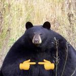 Profile Picture of Michael Kravets Jr. (@michaelkravetsjr) on Instagram