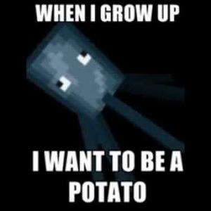 Profile Picture of Noel Frederick (@NoelVermot) on Twitter