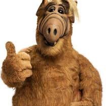 Profile Picture of 90 Day Reality Alf "The Alfster" (@MattOrton007) on Twitter