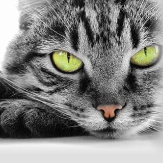 Profile Picture of Adam Stasik (@adam.stasik.10) on Facebook