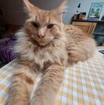 Profile Picture of Rita Michels (@rita.michels.182) on Facebook