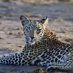 Profile Picture of Richard Grant Photography (@richardgrant_photo) on Instagram