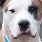 Profile Picture of Eugene Tanguay (@eugenetanguay) on Instagram