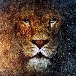 Profile Picture of Kenneth Njoroge (@kenneth.njoroge) on Instagram