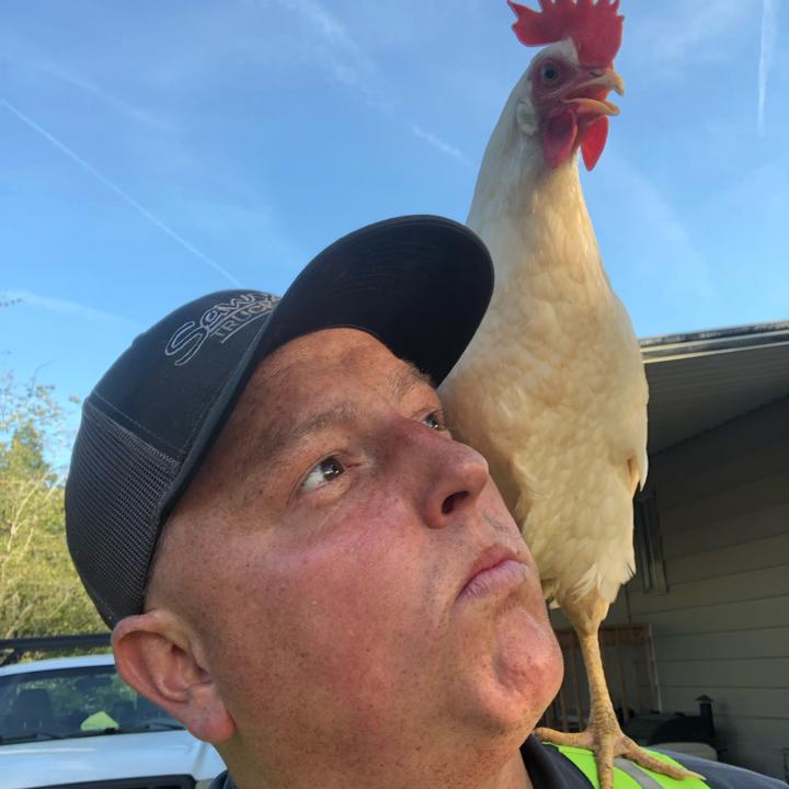 Profile Picture of Dale Hickman (@@dalehickman) on Tiktok