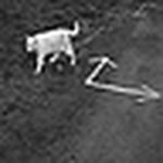 Profile Picture of Goldenegg-tempe (@goldenegg-tempe) on Flickr