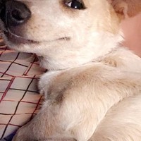 Profile Picture of Justin Allbee (@justin-allbee-2) on Quora