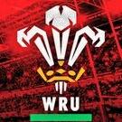 Profile Picture of Darran Phillips (@PhillipsDarran) on Twitter