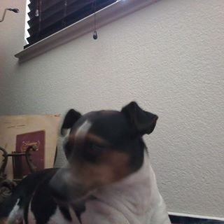 Michael Zemansky - Facebook Profile Picture of Michael Zemansky (@Michael-Zemansky) on Facebook