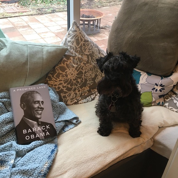 Profile Picture of Theresa Grencik (@badschnauzer) on Poshmark