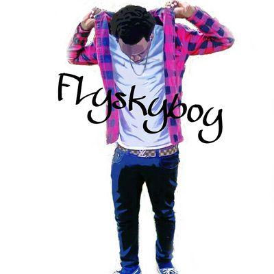 Profile Picture of Michael Gopaul (@_flyskyboy) on Twitter