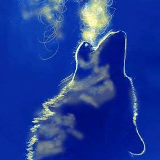 Profile Picture of Tony Dennett (@tony.dennett.3) on Facebook