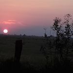 Profile Picture of Wagno Tomassini Barcelos (@wagnotomassini) on Instagram