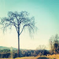 Profile Picture of Tracy Roux (@tracy-roux-2) on Quora