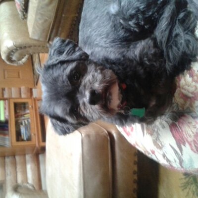 Profile Picture of Merle Jeans (@JeansMerle) on Twitter