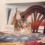 Profile Picture of Mr Buster (@erikapland) on Instagram