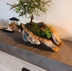 Jeremy Donovan Clain - Facebook Profile Picture of Jeremy Donovan Clain (@Jeremy-Donovan-Clain) on Facebook