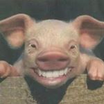 Profile Picture of 张嘉成 (@eric_lentou) on Instagram