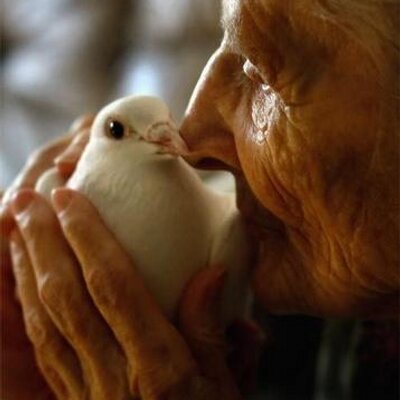 Profile Picture of Merry Ellen Scully (@mesm) on Twitter