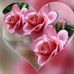 Profile Picture of Lu Huynh (@lu.huynh.3348) on Facebook