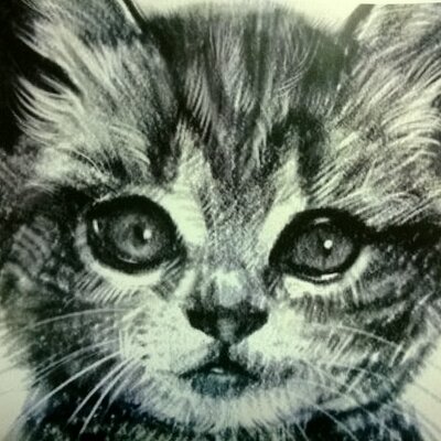 Profile Picture of Block (@roger0083044) on Twitter