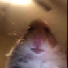 Profile Picture of mitchellparker (@@mr.mitch15) on Tiktok