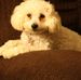 Profile Picture of Thomas Lacomb (@thomas.lacomb.3) on Facebook