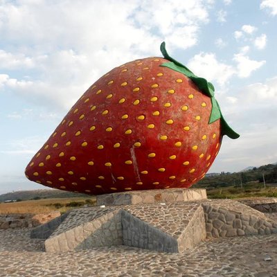 Profile Picture of Juan Jose Mariles Carrillo (@jose_mariles) on Twitter