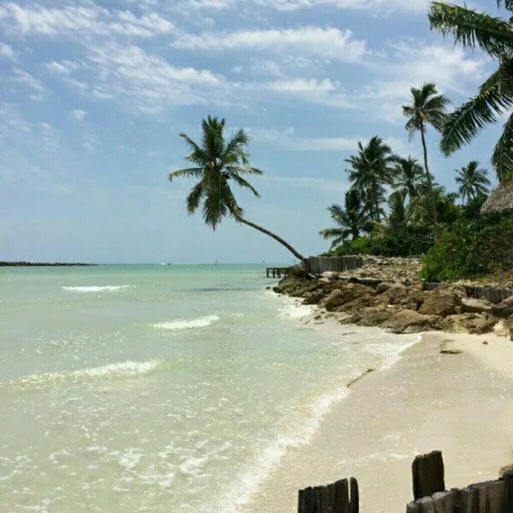 Profile Picture of Stefanie Murrish (@murrish) on Poshmark