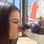 Profile Picture of Noel Breen (@nbreen2345) on Instagram