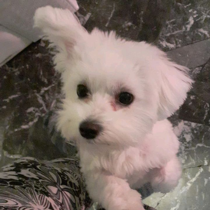 Alex Greff - Tiktok Profile Picture of Alex Greff (@alexgreff47) on Tiktok