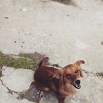 Profile Picture of lucka salamunova (@smolkamikey) on Instagram