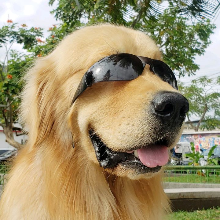 Profile Picture of Max Cott (@max_cott) on Tiktok