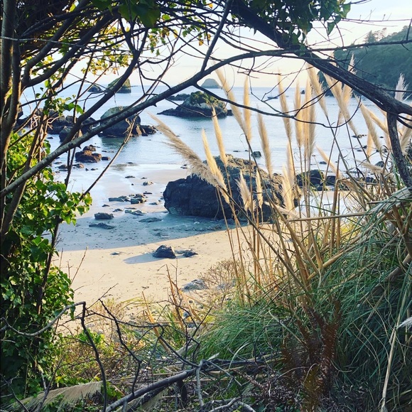 Armando Paduganan - Poshmark Profile Picture of Armando Paduganan (@amenophisdean) on Poshmark