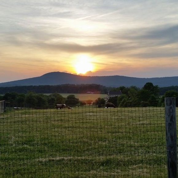 Profile Picture of Lisa Hilton (@hiltonfh) on Poshmark