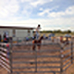 Profile Picture of Michael Battenfield (@Battenfield Horsemanship) on Flickr