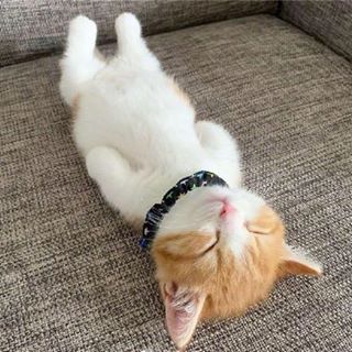 Profile Picture of Michael Huang (@michael.huang.1044) on Facebook