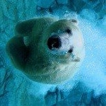 Profile Picture of Goggin (@097mlugwignoel) on Instagram