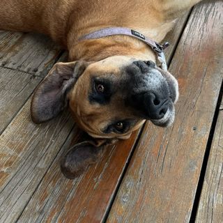 Leah Jean - Instagram Profile Picture of Leah Jean (@leahjeanriddell) on Instagram