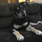 Profile Picture of Rebecca Keener (@becca.starling.12) on Instagram