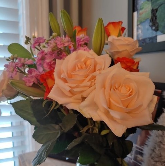 Profile Picture of Barbara Lampkin (@barbara_lampkin) on Poshmark