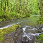 Profile Picture of Meloling (@melolinghj9) on Instagram