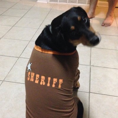 Profile Picture of Tom Wrigley (@TDubs55062205) on Twitter