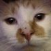 Profile Picture of Maxballard (@maxballard544) on Pinterest