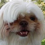 Profile Picture of Barbara CodereDoran Alexander (@barbara_coderedoran_alexander) on Instagram