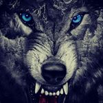 Profile Picture of Kevin Schutt (@allstar_10938) on Instagram