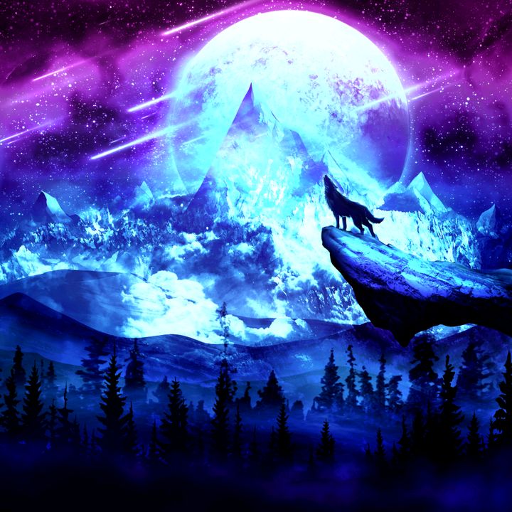 Profile Picture of gavinmcnair (@luca_mcnair) on Tiktok