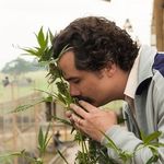 Profile Picture of paul bumble (@paulbumble) on Instagram